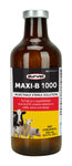 Maxi-B 1000 100ml