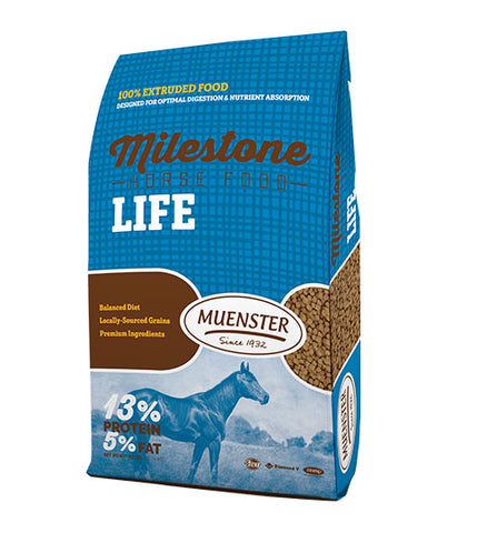 Milestone Life Horse Food