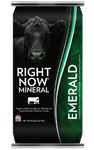 Right Now® Emerald